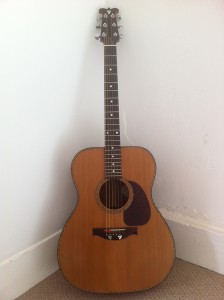 Acoustic Guitar 0026