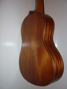 Ukulele 0027
